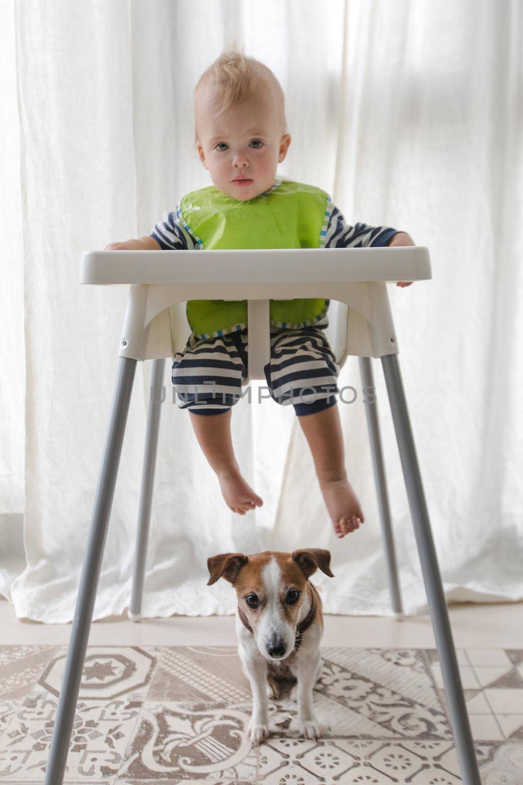 Cute boy and dog under high chair by Demkat