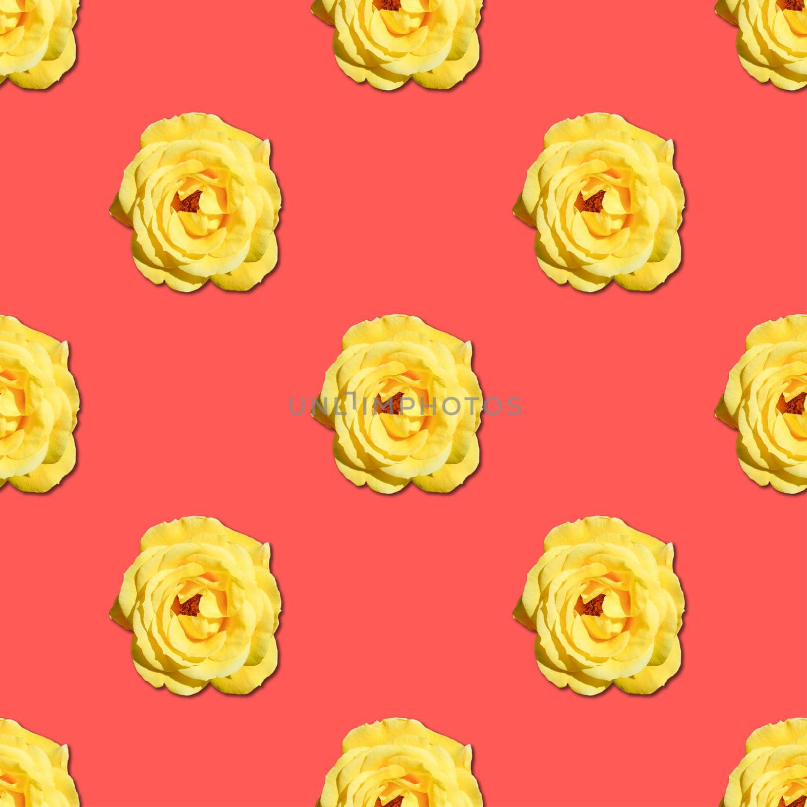 Yellow Rose seamless flower pattern. Summer background.