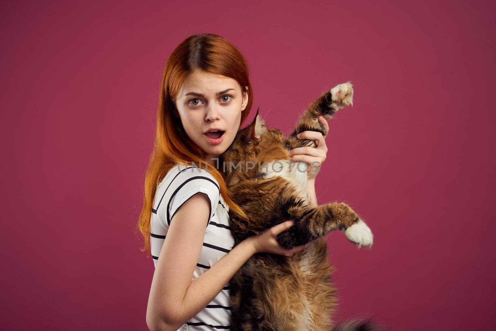 woman holding fluffy cat in her arms pet friendship pink background. High quality photo