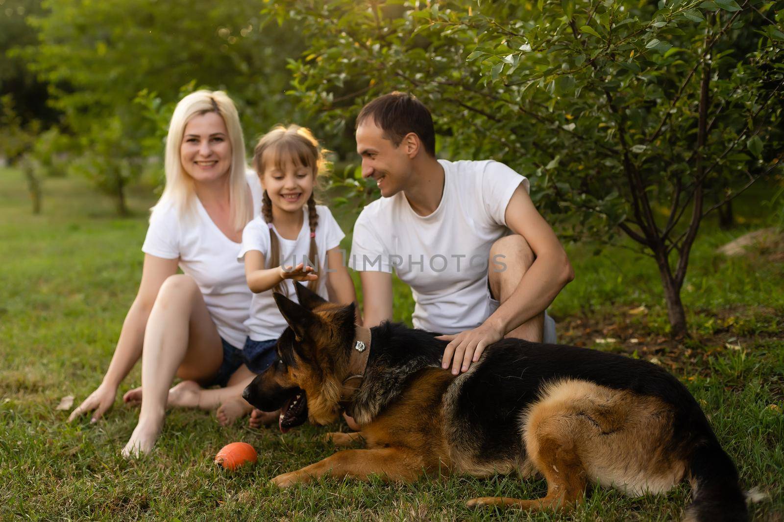 Portrait of an extended family with their pet dog sitting at the park by Andelov13