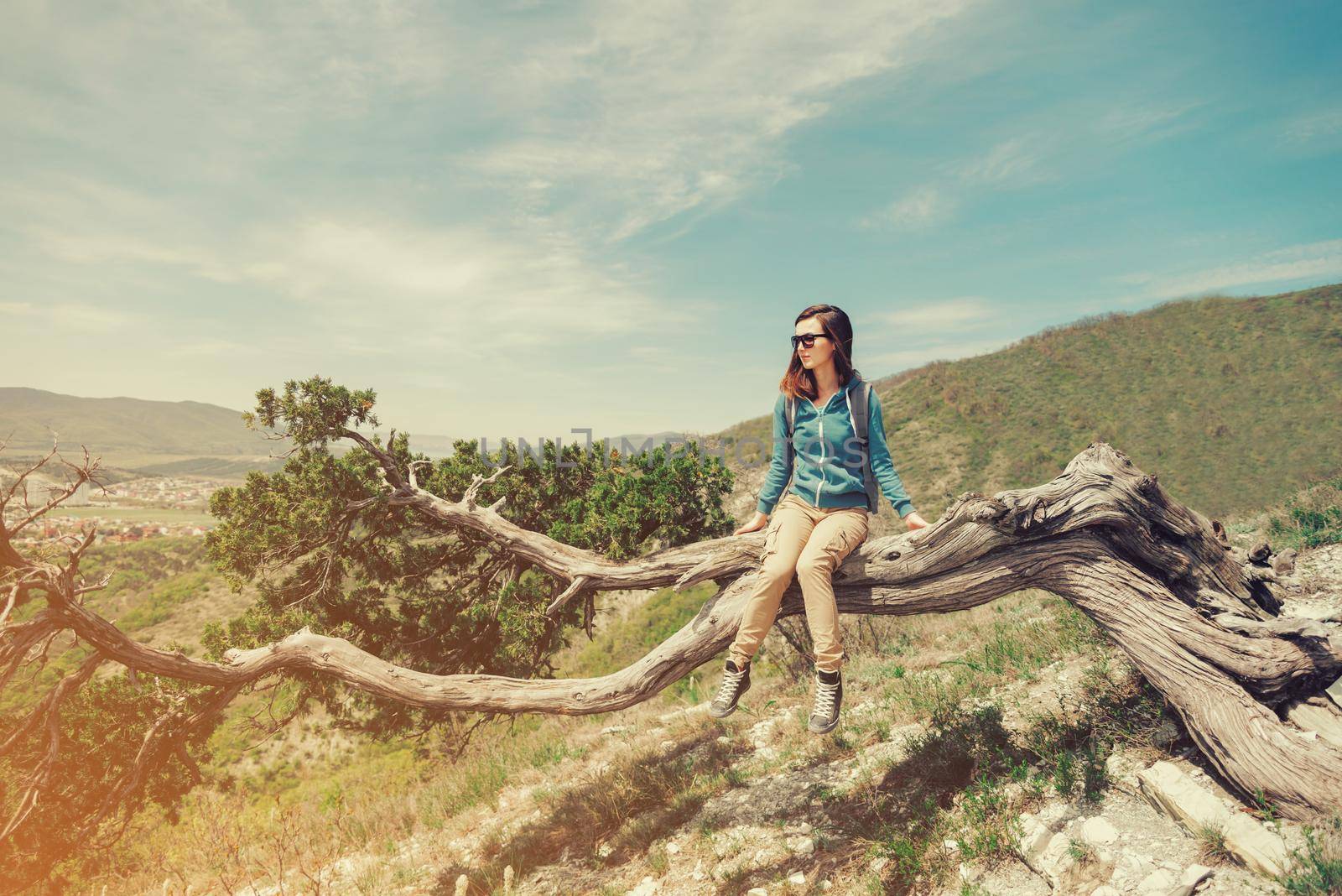 Beautiful traveler young woman resting on juniper tree in the mountains in summer. Image with instagram color effect