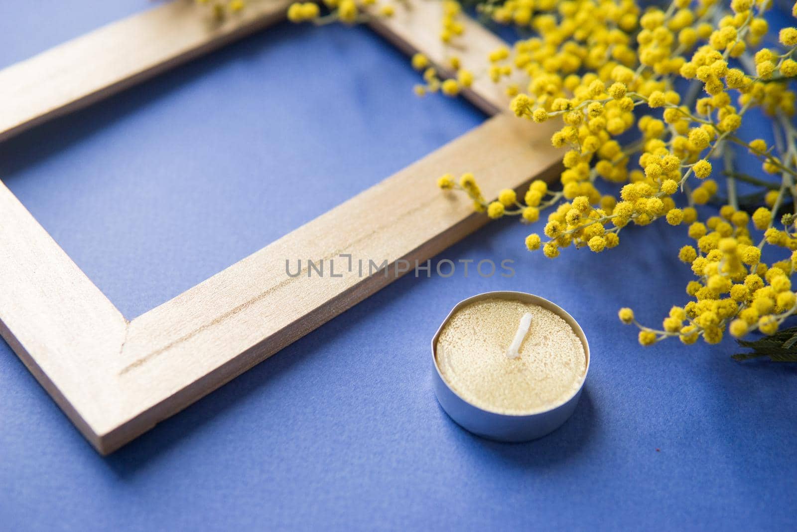 Spring concert. Mimosa and gold frame on blue background. Mimosa close-up. Happy spring. Space for text.