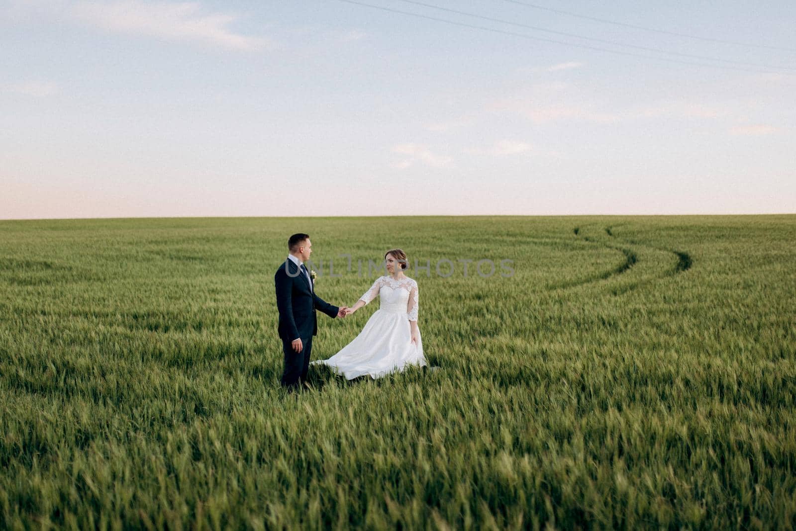 the groom and the bride walk along the wheat green field on a bright day