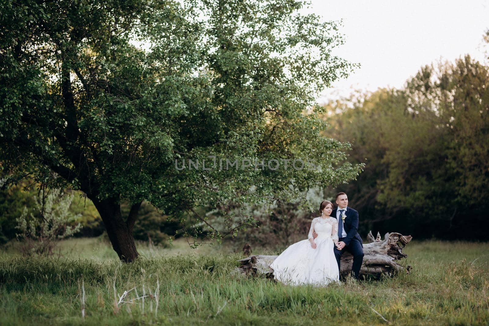 the groom and the bride are walking in the forest near a narrow river on a bright day