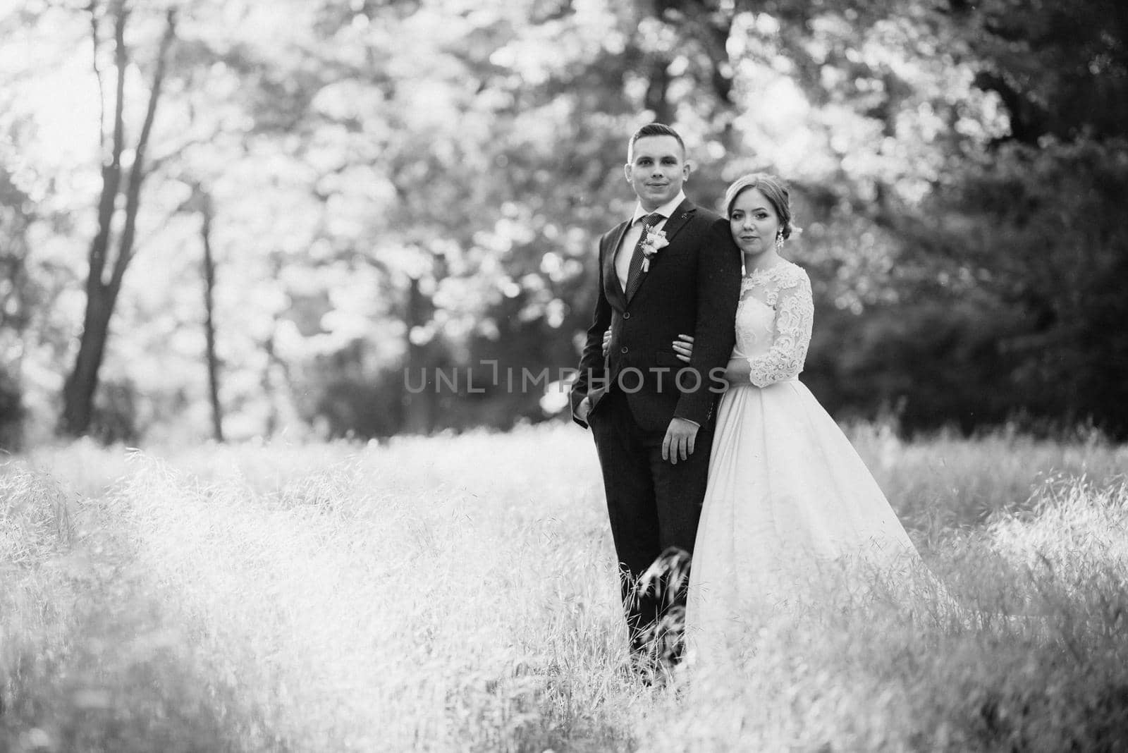 the groom and the bride are walking in the forest near a narrow river on a bright day