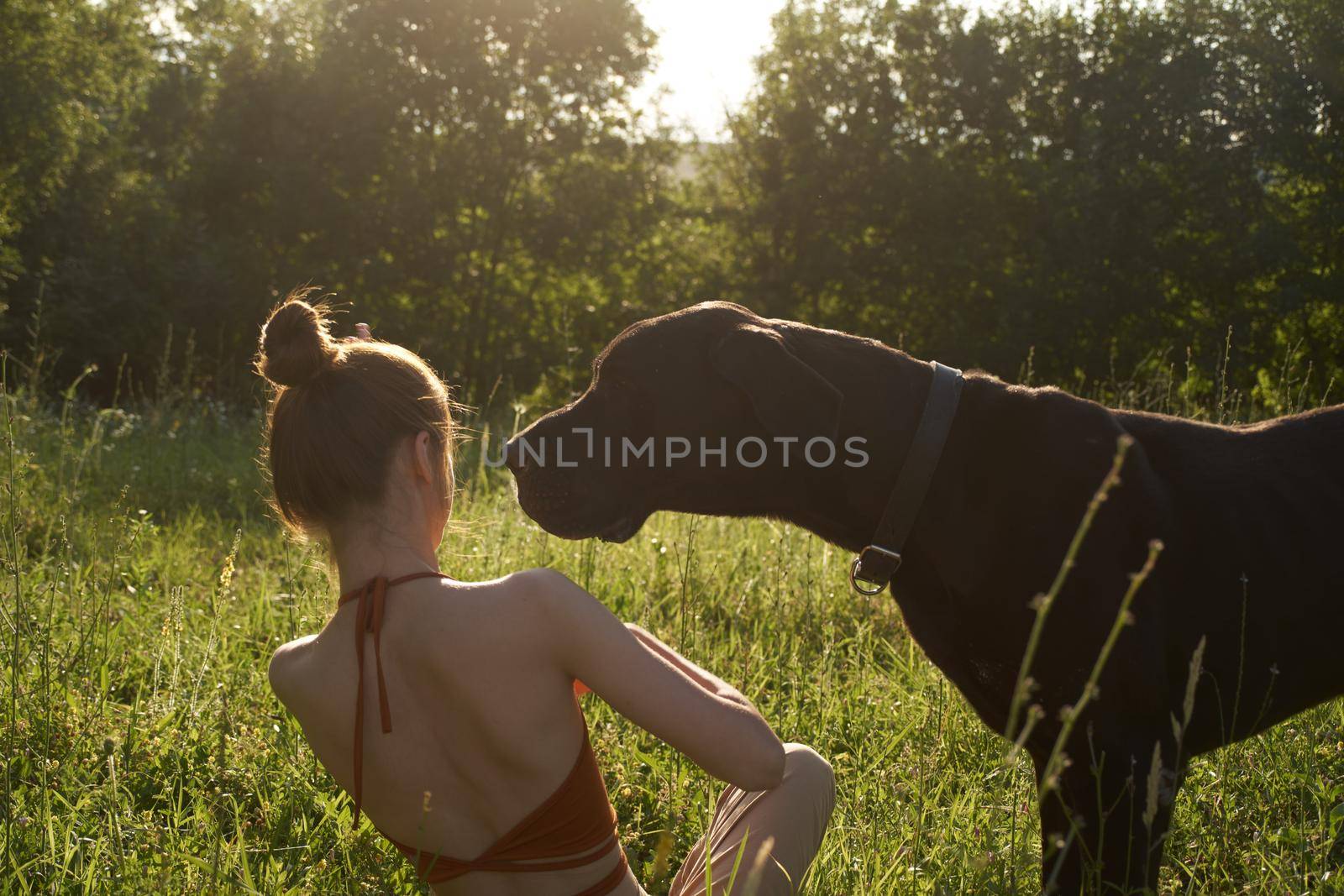 cheerful woman playing with a dog in a field in nature in summer by Vichizh