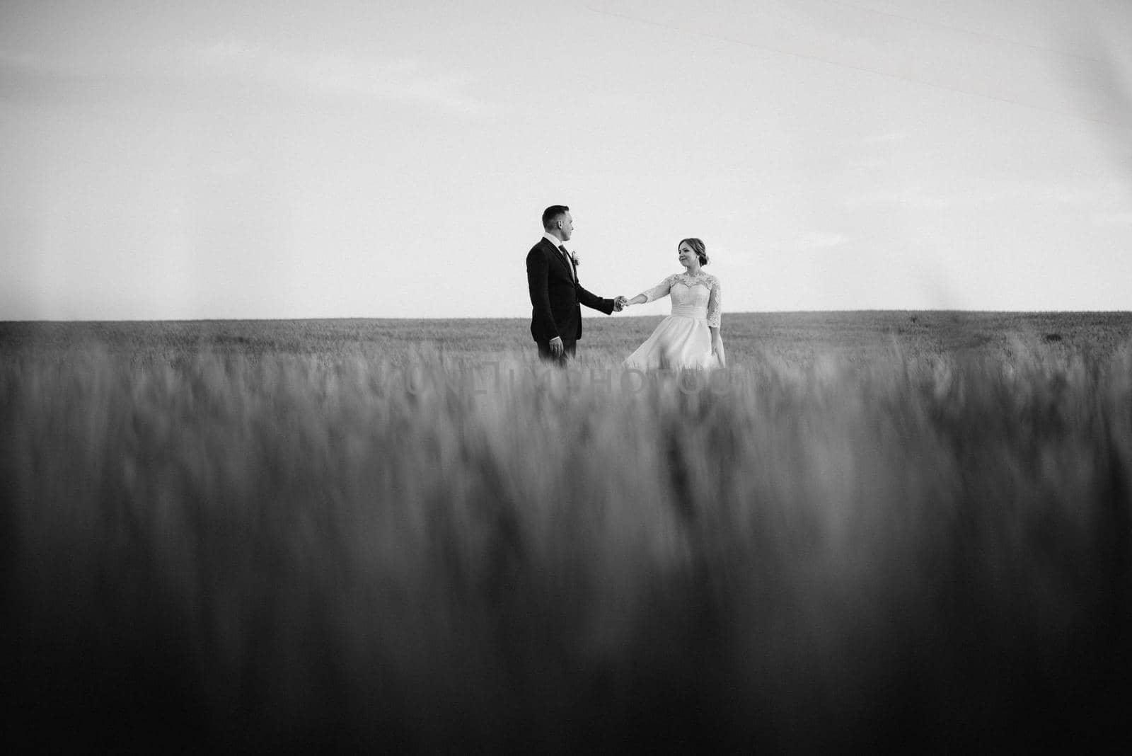 the groom and the bride walk along the wheat green field on a bright day