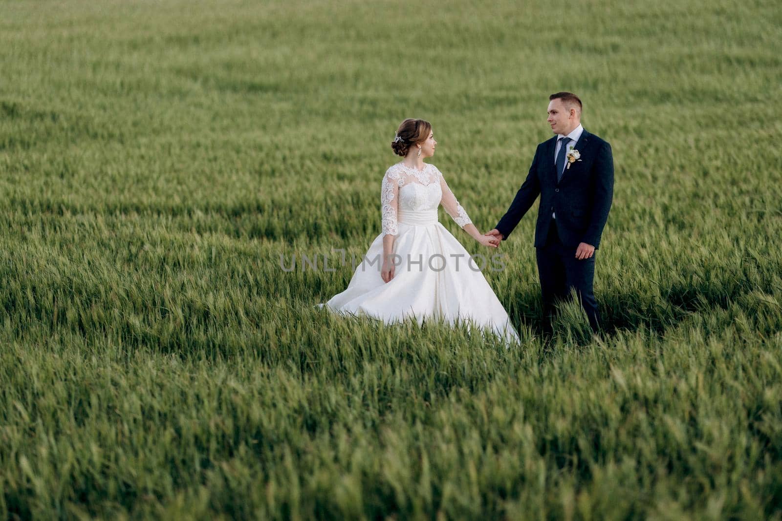 the groom and the bride walk along the wheat green field on a bright day