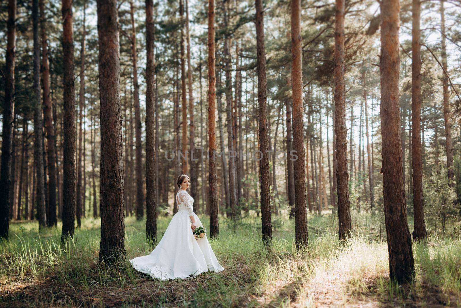 the bride walking in a pine forest on a bright day