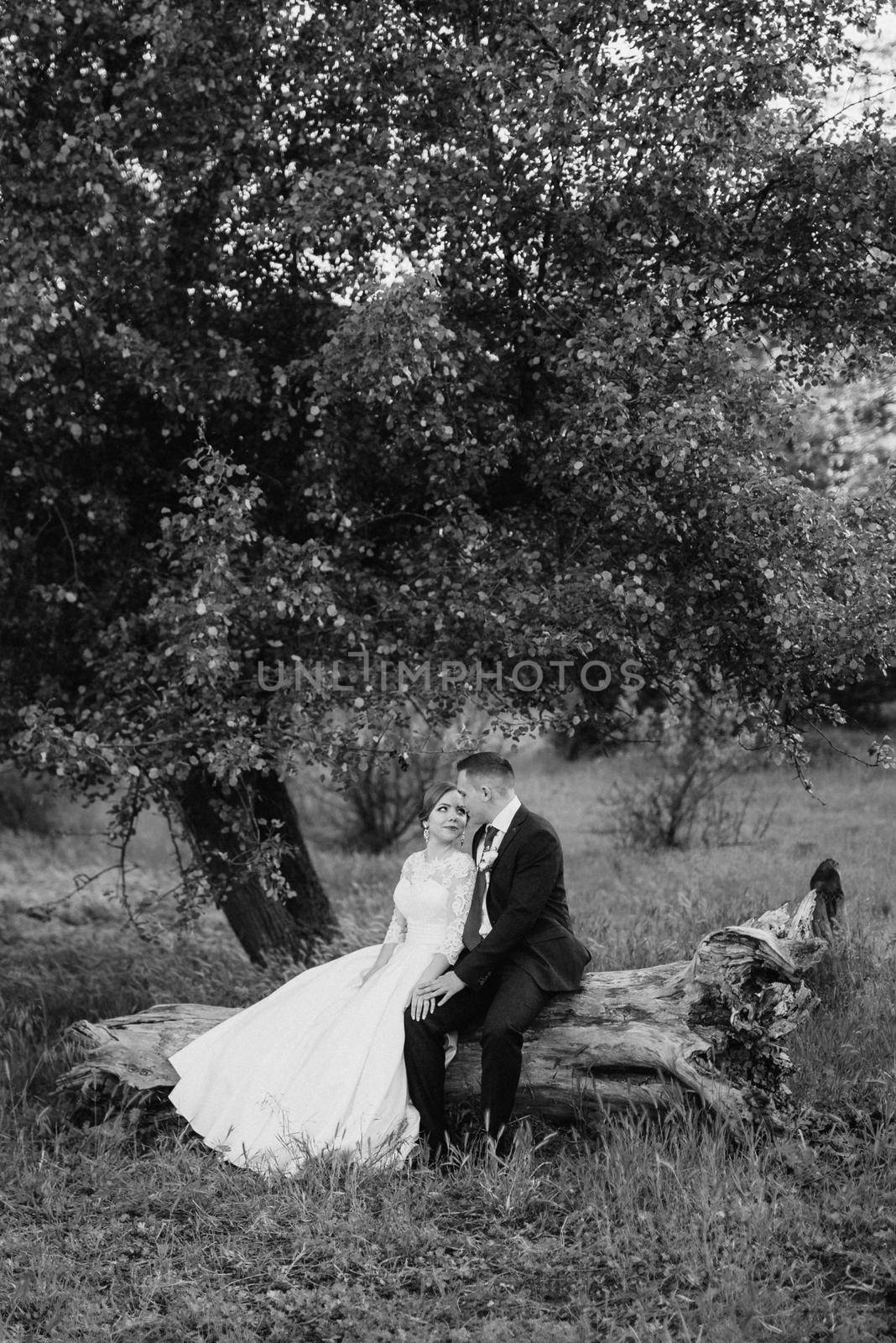 the groom and the bride are walking in the forest near a narrow river on a bright day