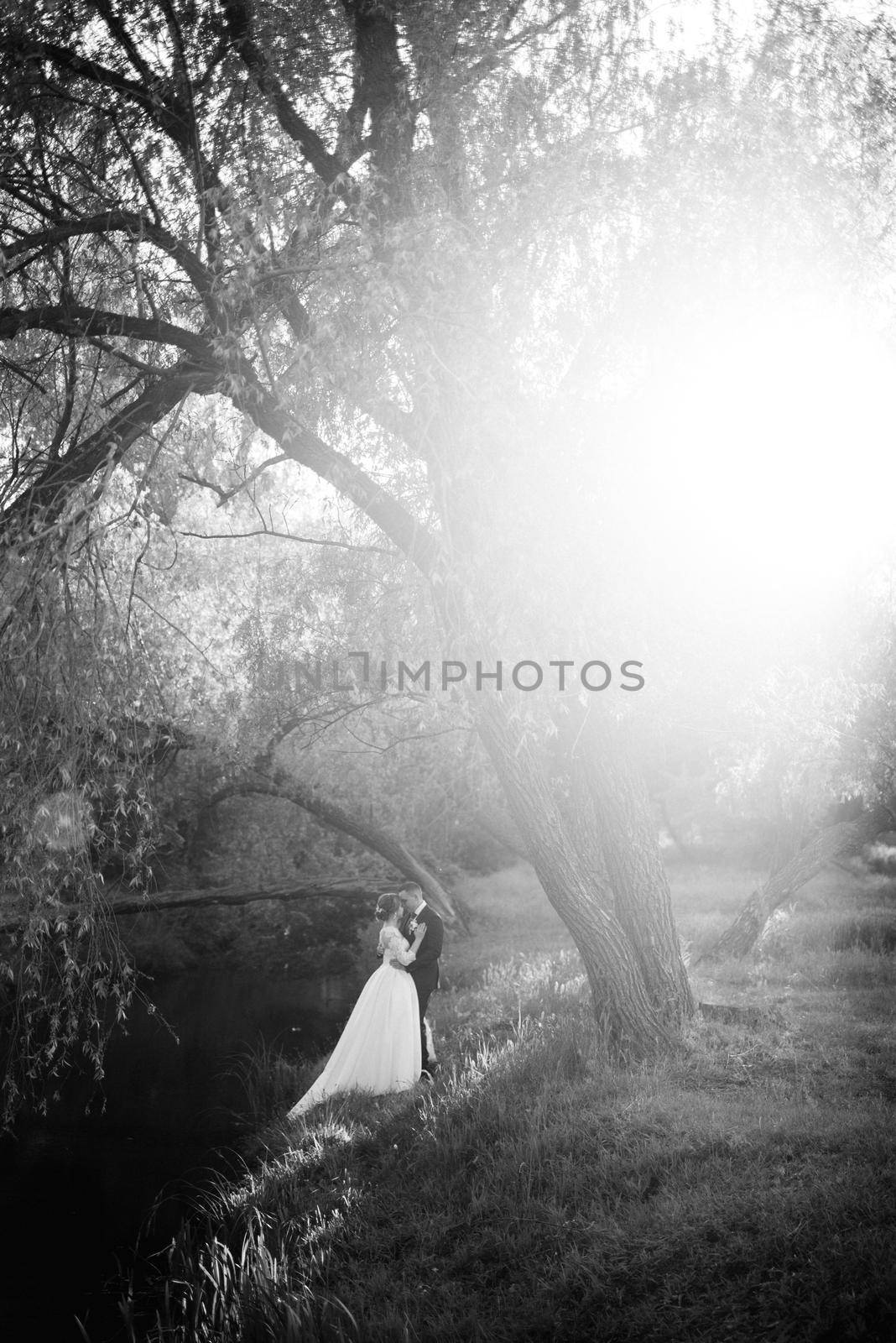 the groom and the bride are walking in the forest near a narrow river on a bright day