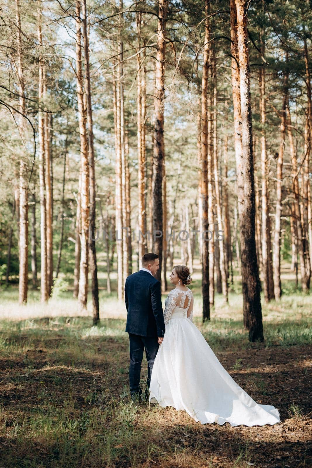 the bride and groom are walking in a pine forest on a bright day