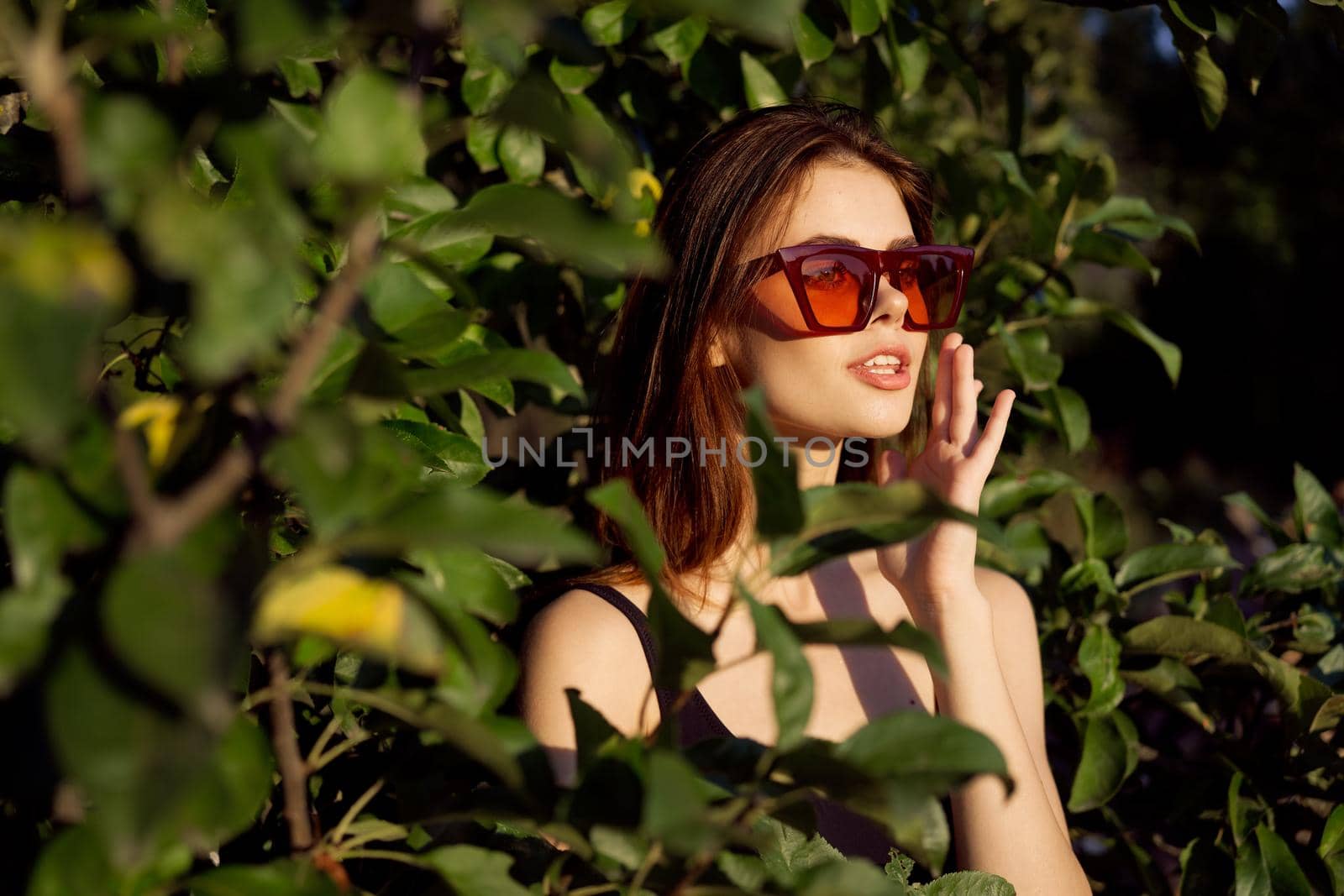 pretty woman wearing sunglasses green leaves glamor posing summer. High quality photo