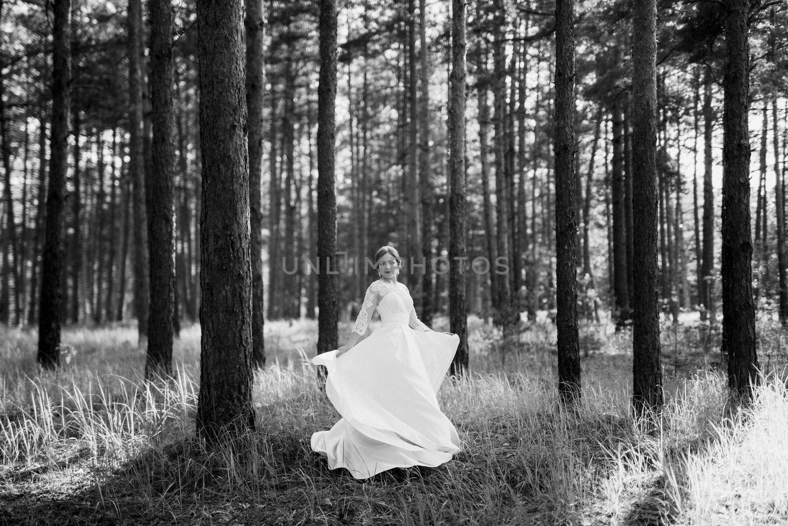 the bride walking in a pine forest on a bright day