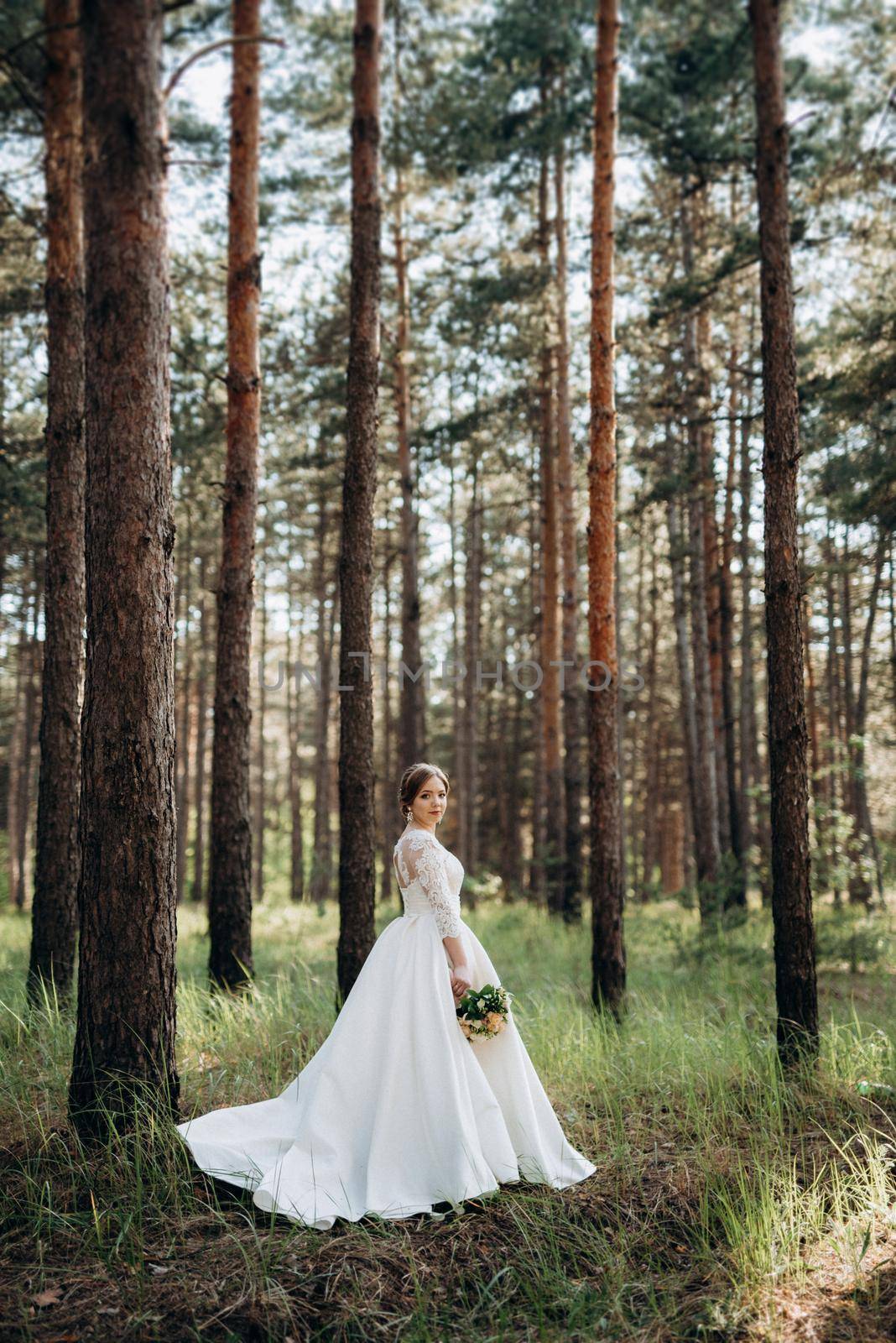 the bride walking in a pine forest on a bright day