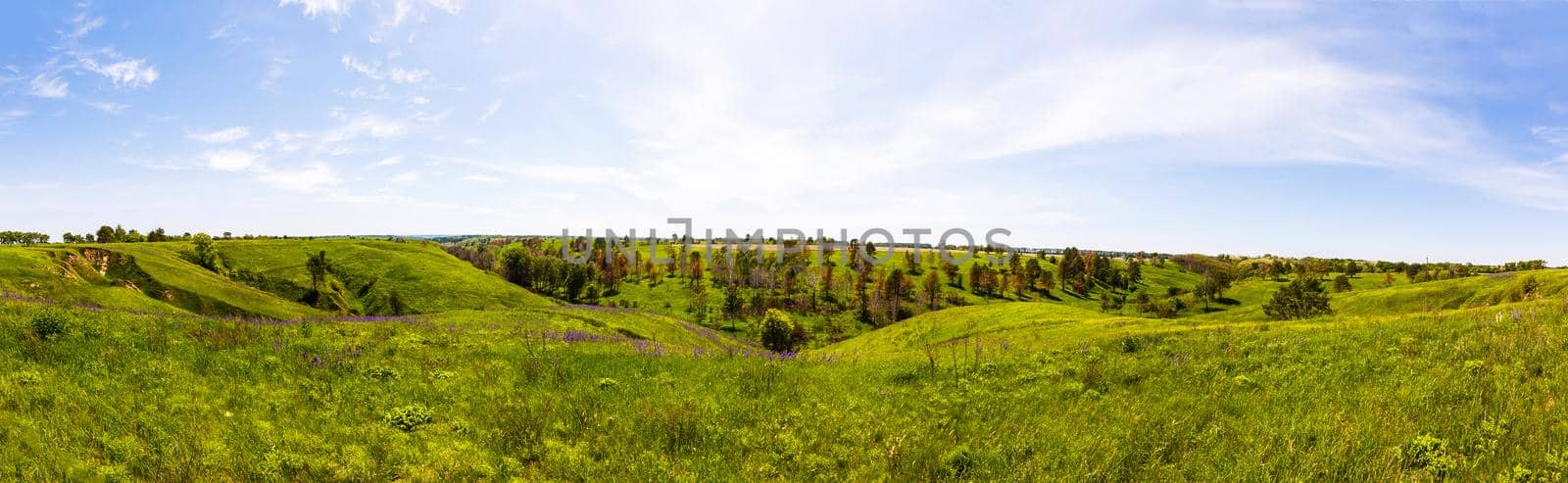 Green fresh grass on blue sky panorama. Ready to use!