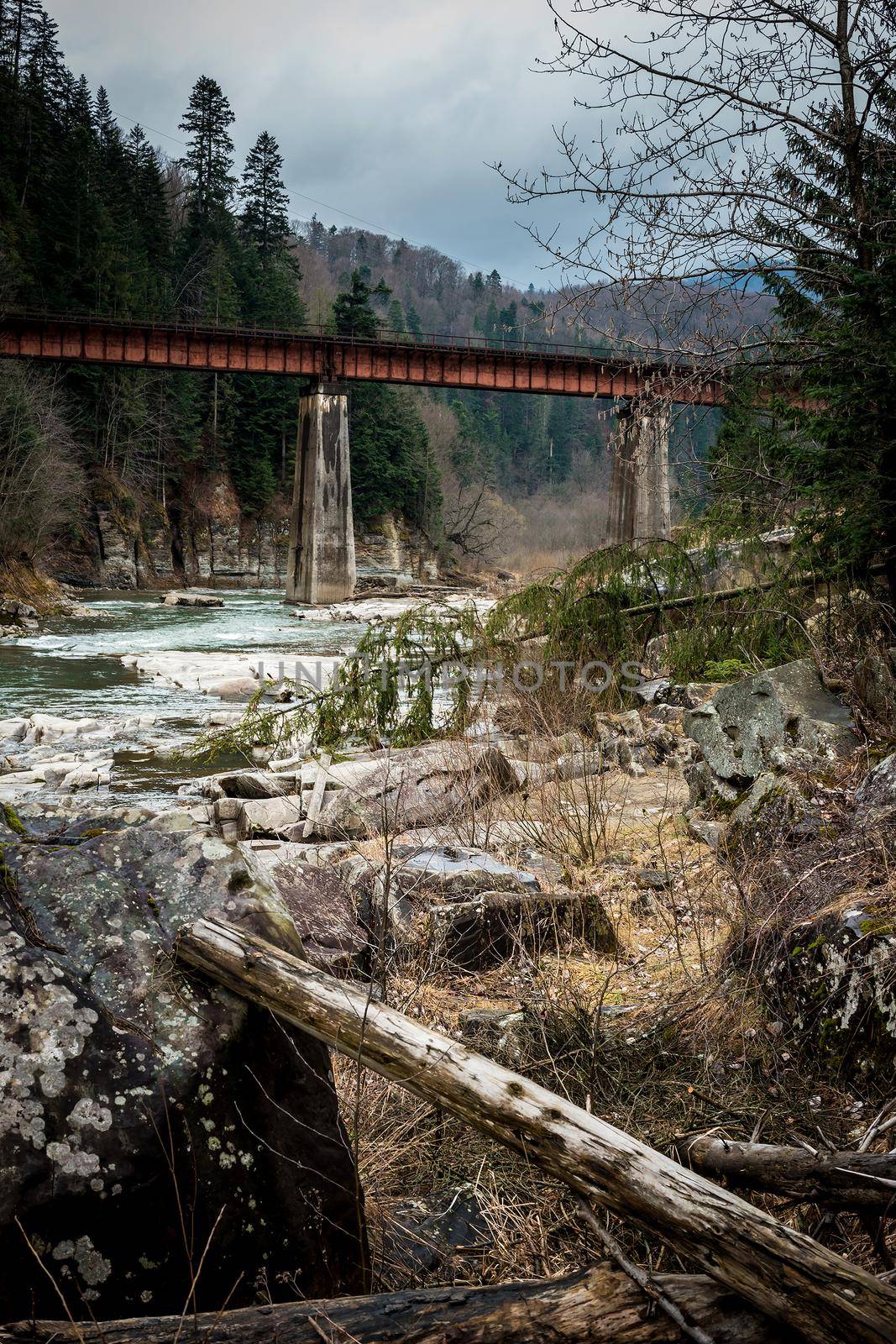 landscape in Carpathian mountains with river and railway bridge by GekaSkr