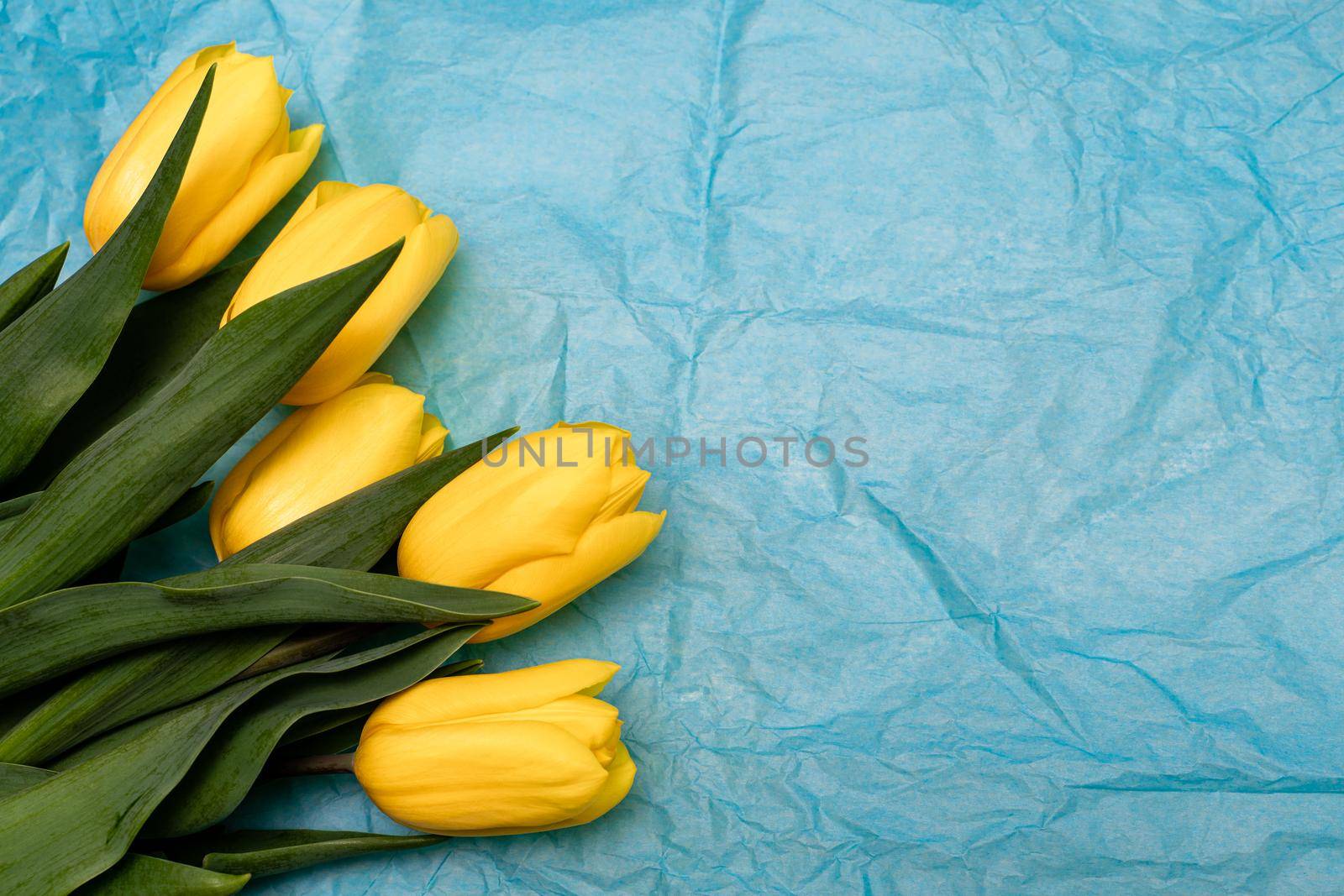 Frame of tulips on turquoise background. Spring flowers. Greeting card for Valentine's Day, Woman's Day and Mother's Day. Top view