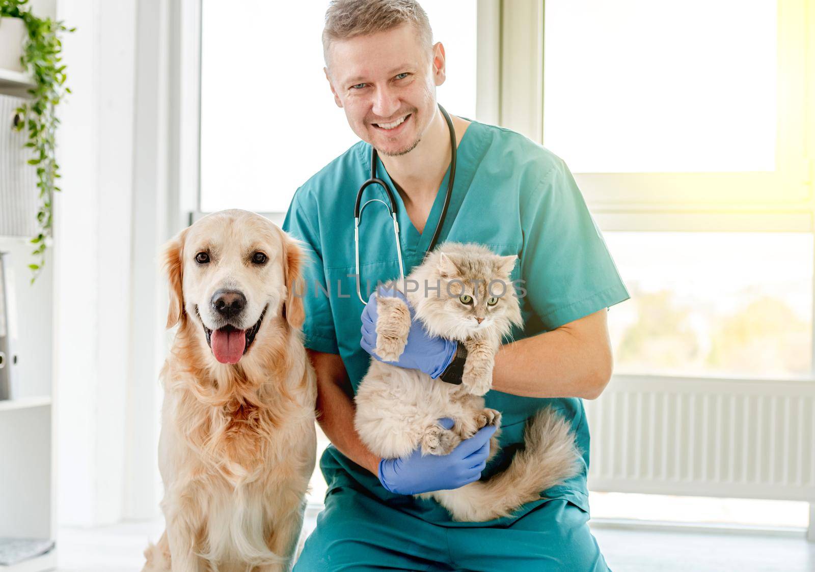 Vet with dog and cat in clinic by tan4ikk1