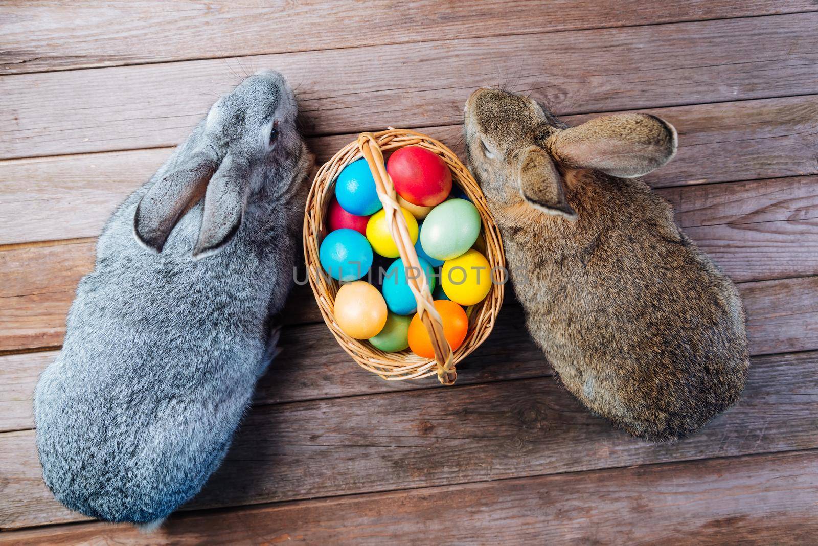 Two Easter rabbits are sitting near a basket with colored eggs, top view