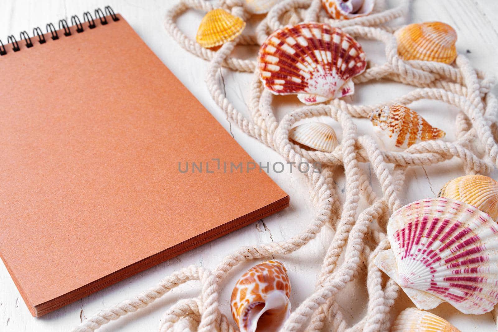 Close up photo of brown notepad with sea shells on wooden planks closeup, copy space