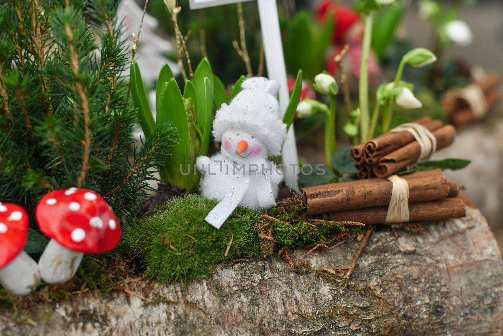 Christmas composition with hyacinths and snowman