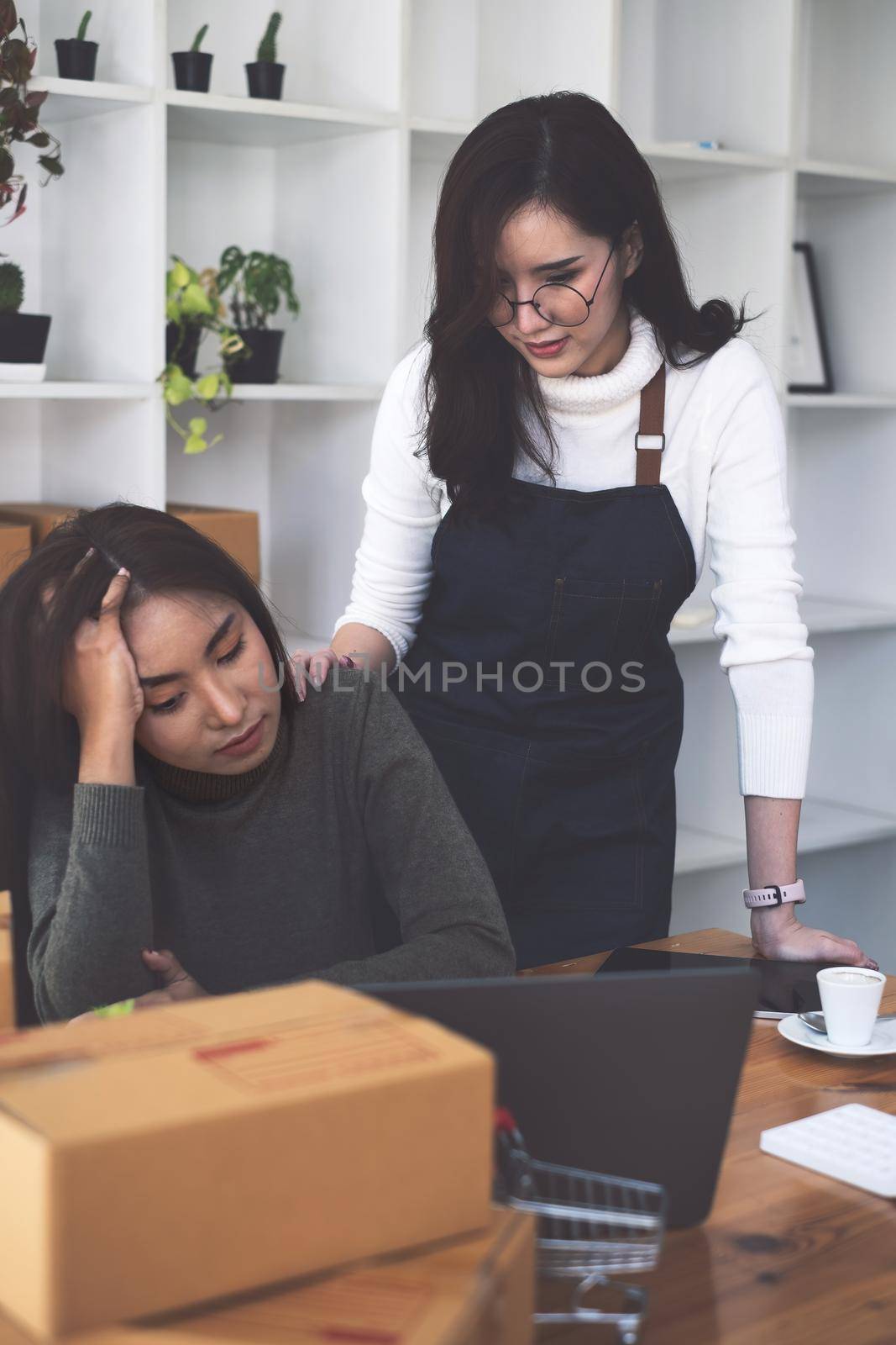 Business owner and partner disappointed when have not an order from her online shop