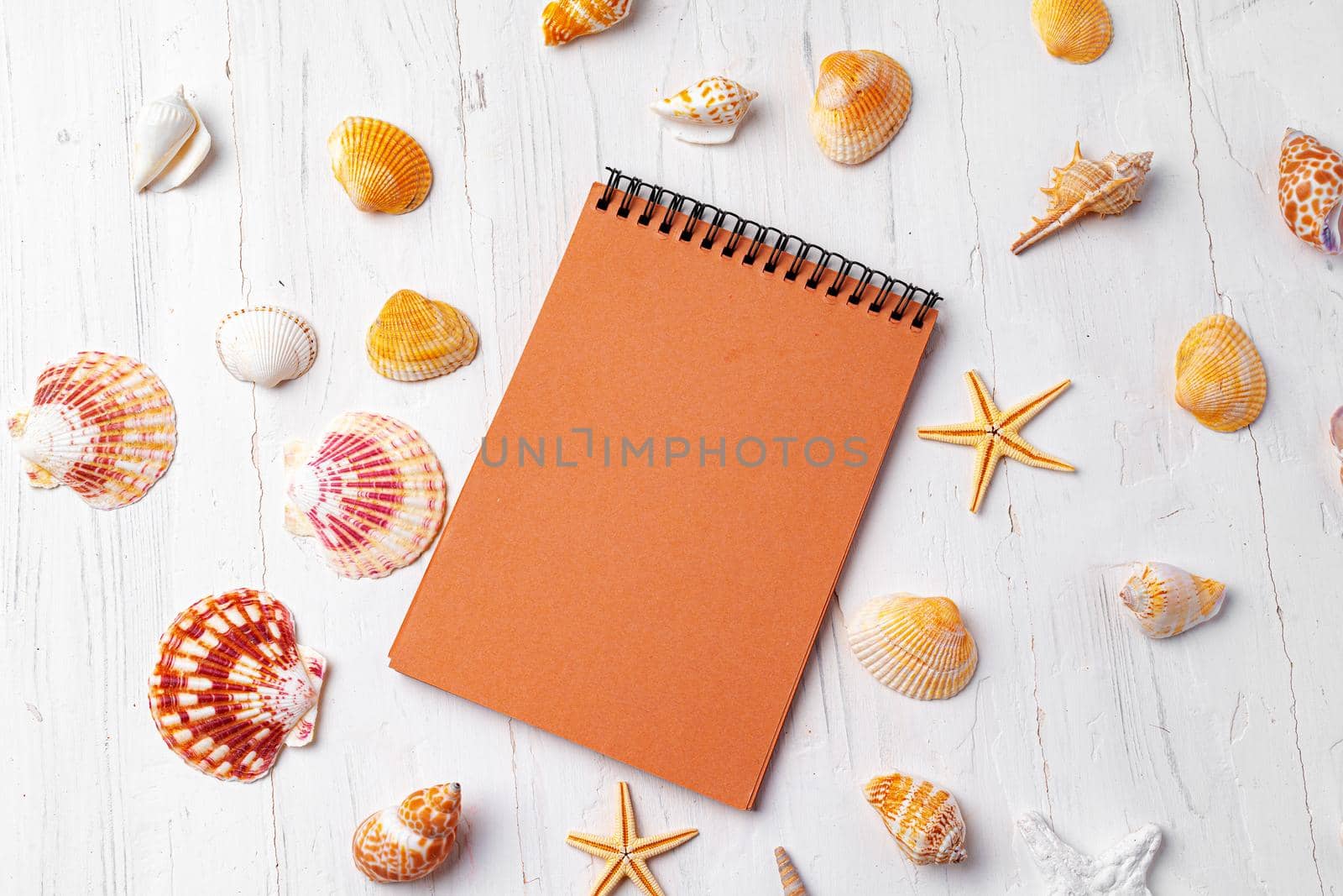 Brown open notepad surrounded by sea shells on white wooden table, copy space