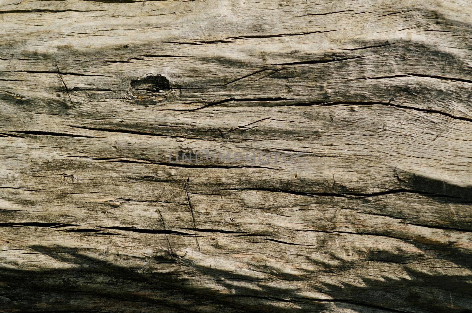 Natural old vintage wood texture in loft style - Image