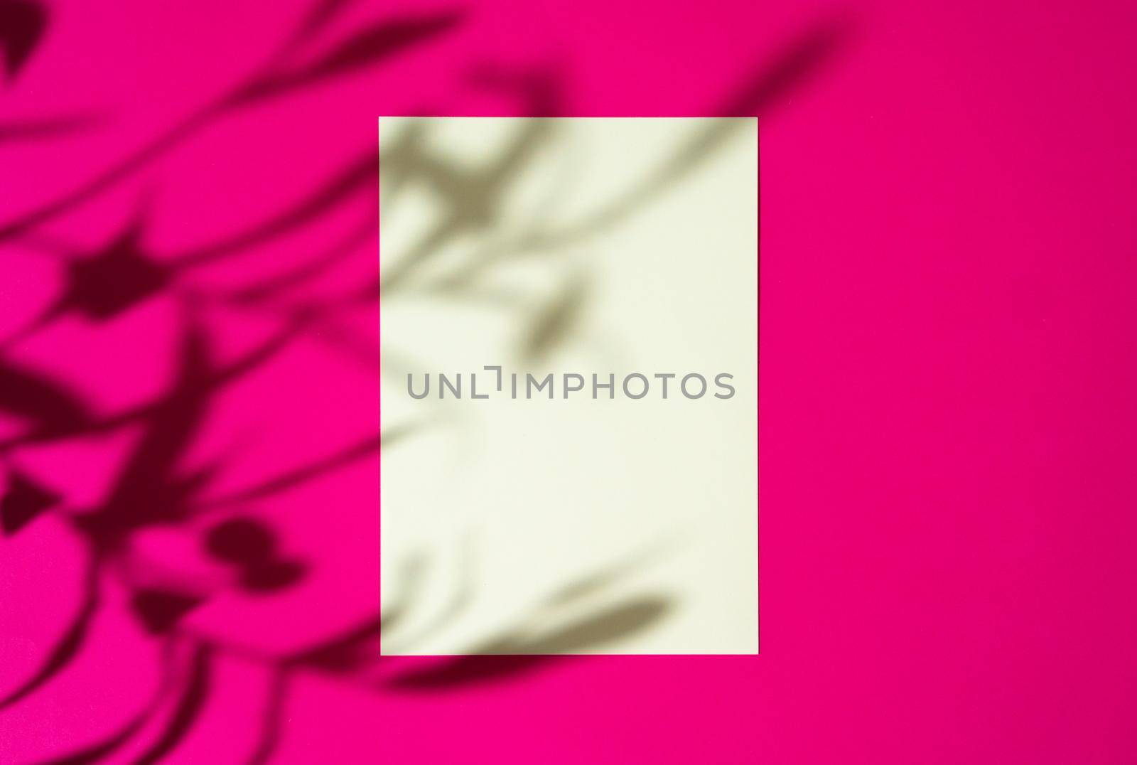 Advertising mock-up. White blank businesscards on bright pink background. copy space