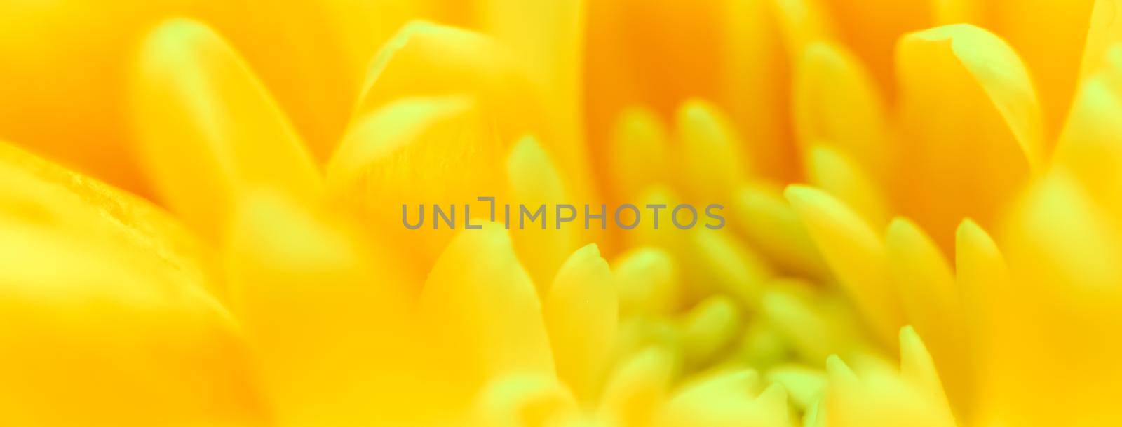 Retro art, vintage card and botanical concept - Abstract floral background, yellow chrysanthemum flower. Macro flowers backdrop for holiday brand design