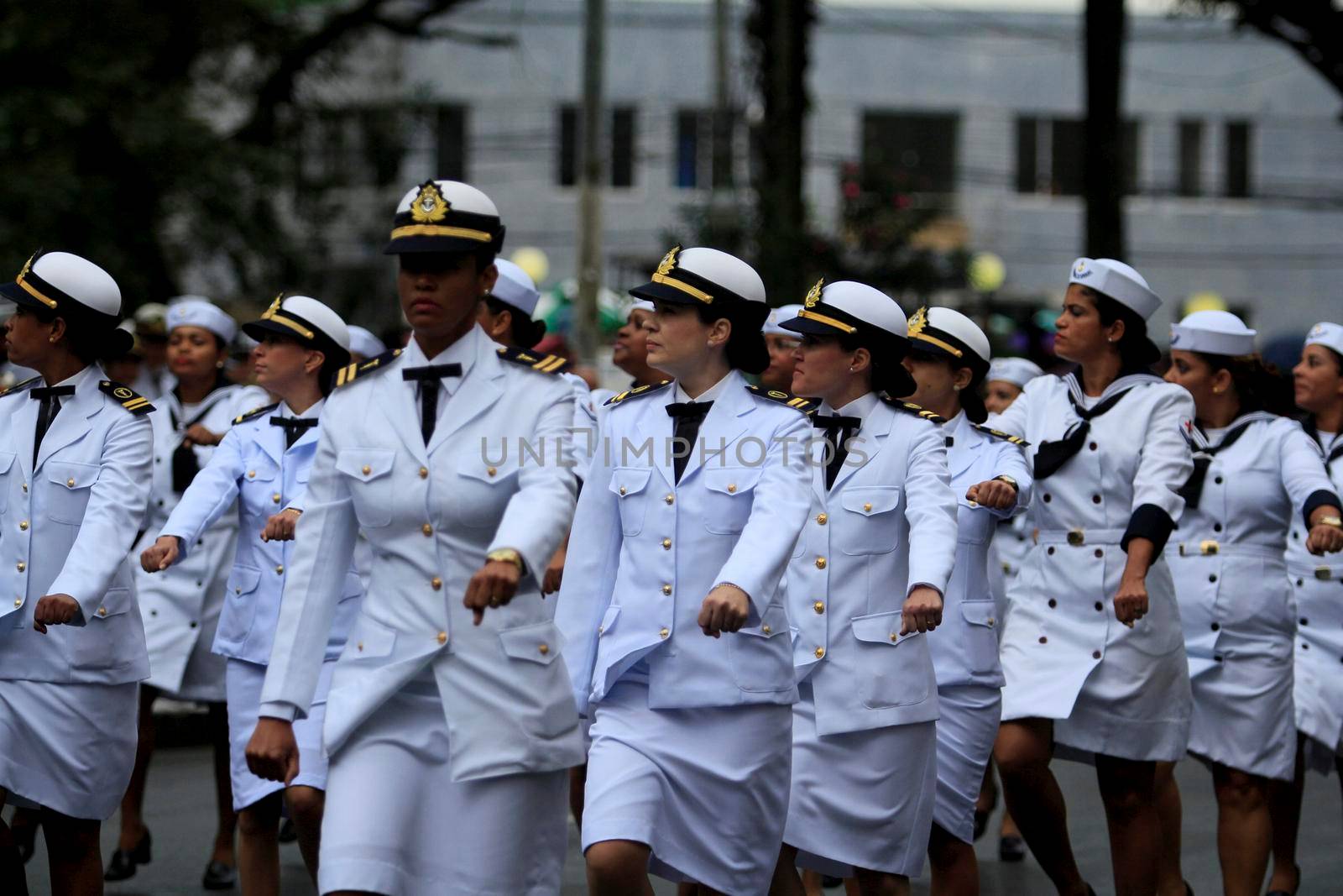 lsalvador, bahia, brazil - september 7, 2014: Brazilian Navy military personnel are seen during a military parade celebrating the independence of Brazil in the city of Salvador.