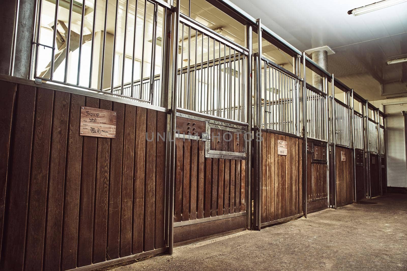 Horse Paddock Equestrian Ranch Racing Stable by nazarovsergey