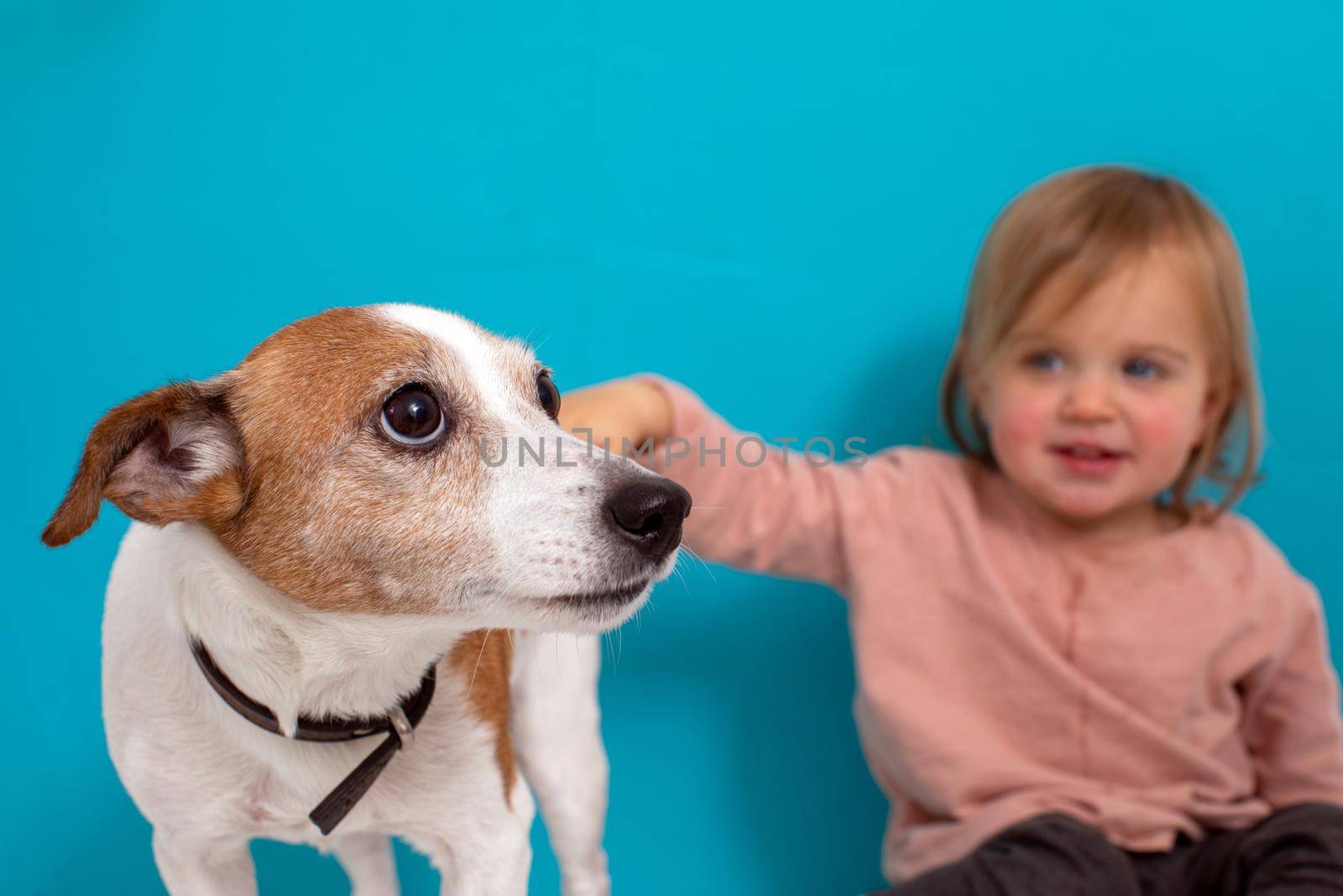 Happy baby girl and dog sit on a blue background. Child stroking pet