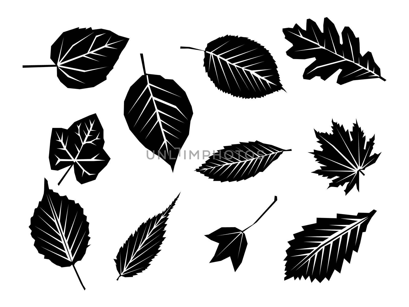 Leaves set isolated from the background by Alxyzt