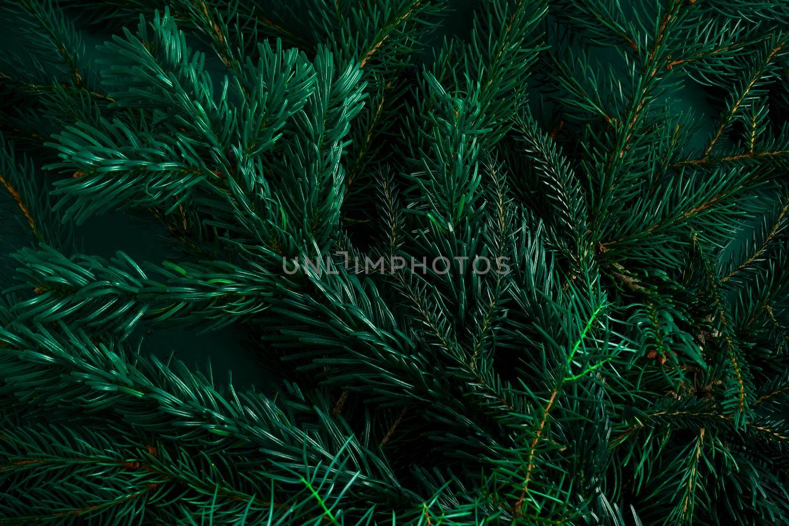 Christmas green background. by A_Gree