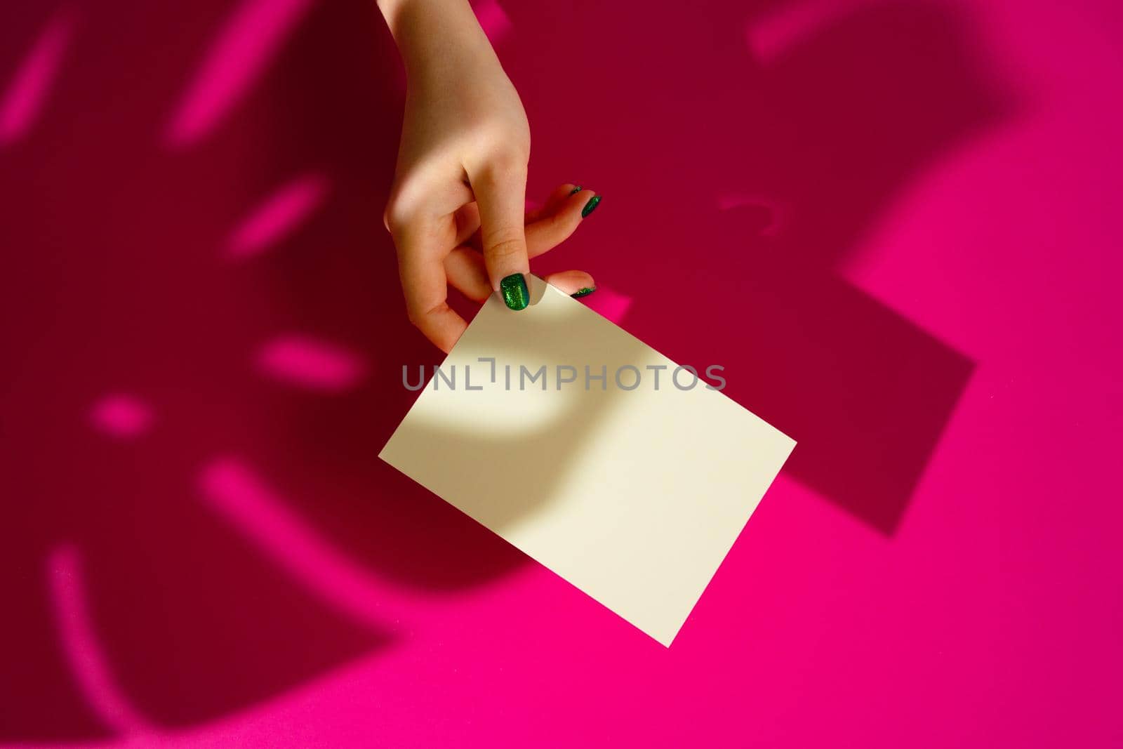Female hand holding blank businesscard. Creative photo with shadow close up