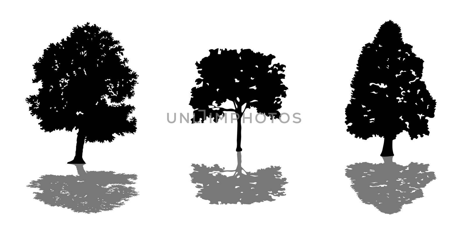 Tree set of black silhouettes with shadow illustration