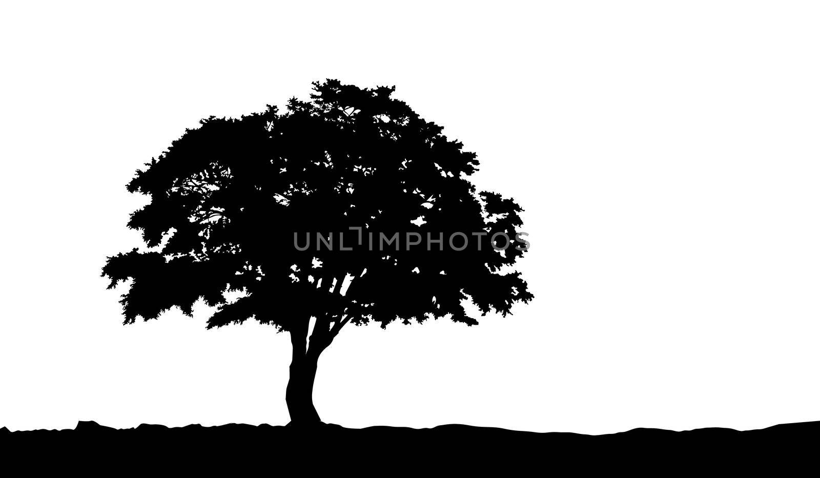 tree on the hill silhouette on by Alxyzt