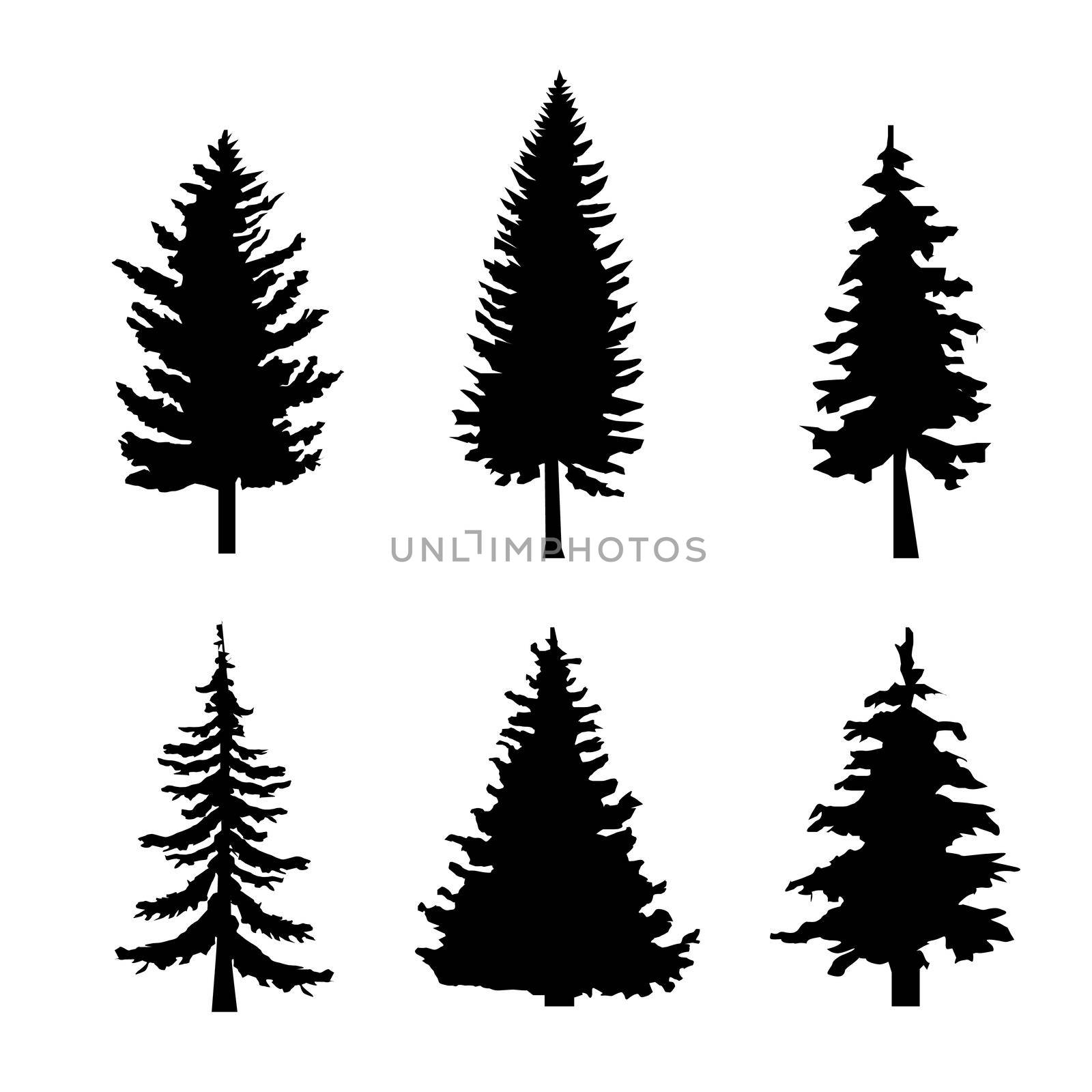 Set of Black Silhouettes of Pine Trees on White Background by Alxyzt