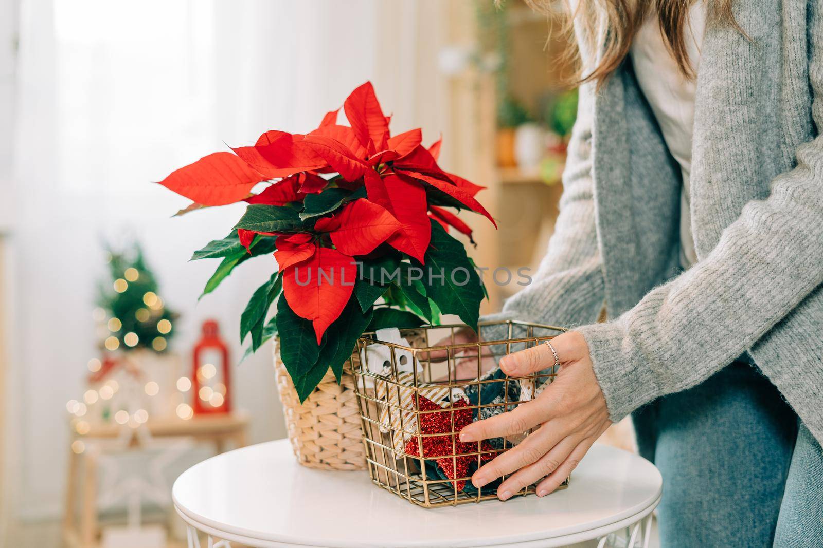 Beautiful poinsettia in wicker pot and woman hands preparing gifts in golden basket on blurred holiday decoration background. Traditional Christmas star flower