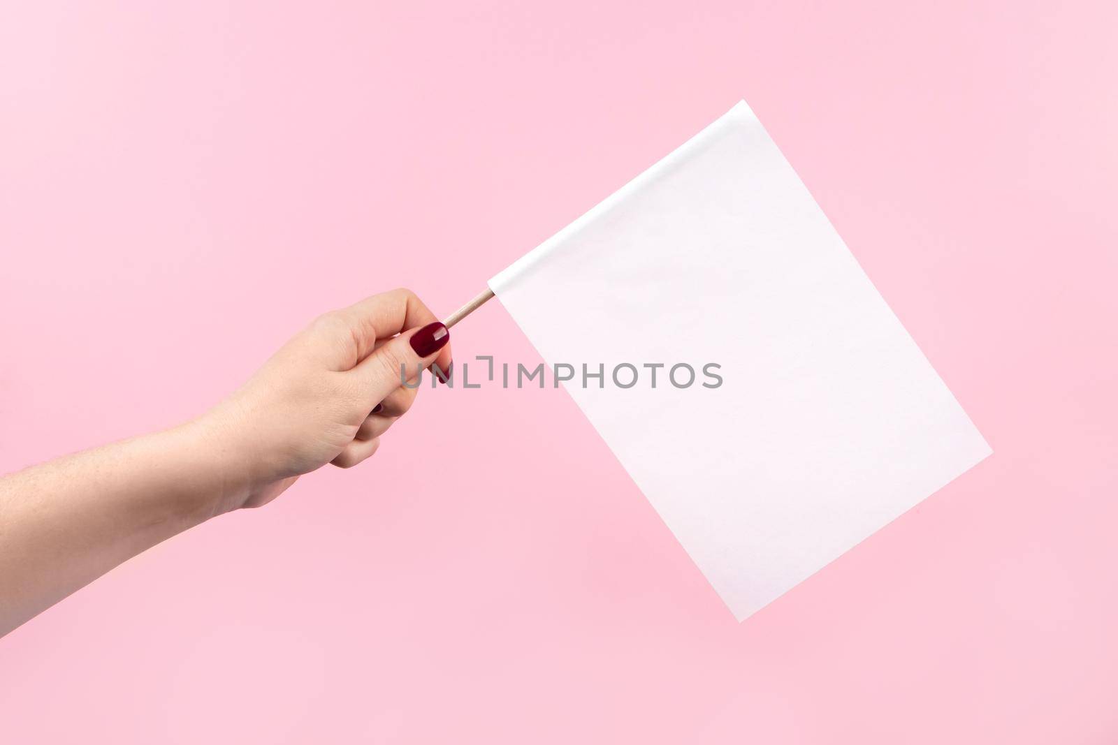 US elections, voting concept. Woman holding flag on a pink background. by Statuska