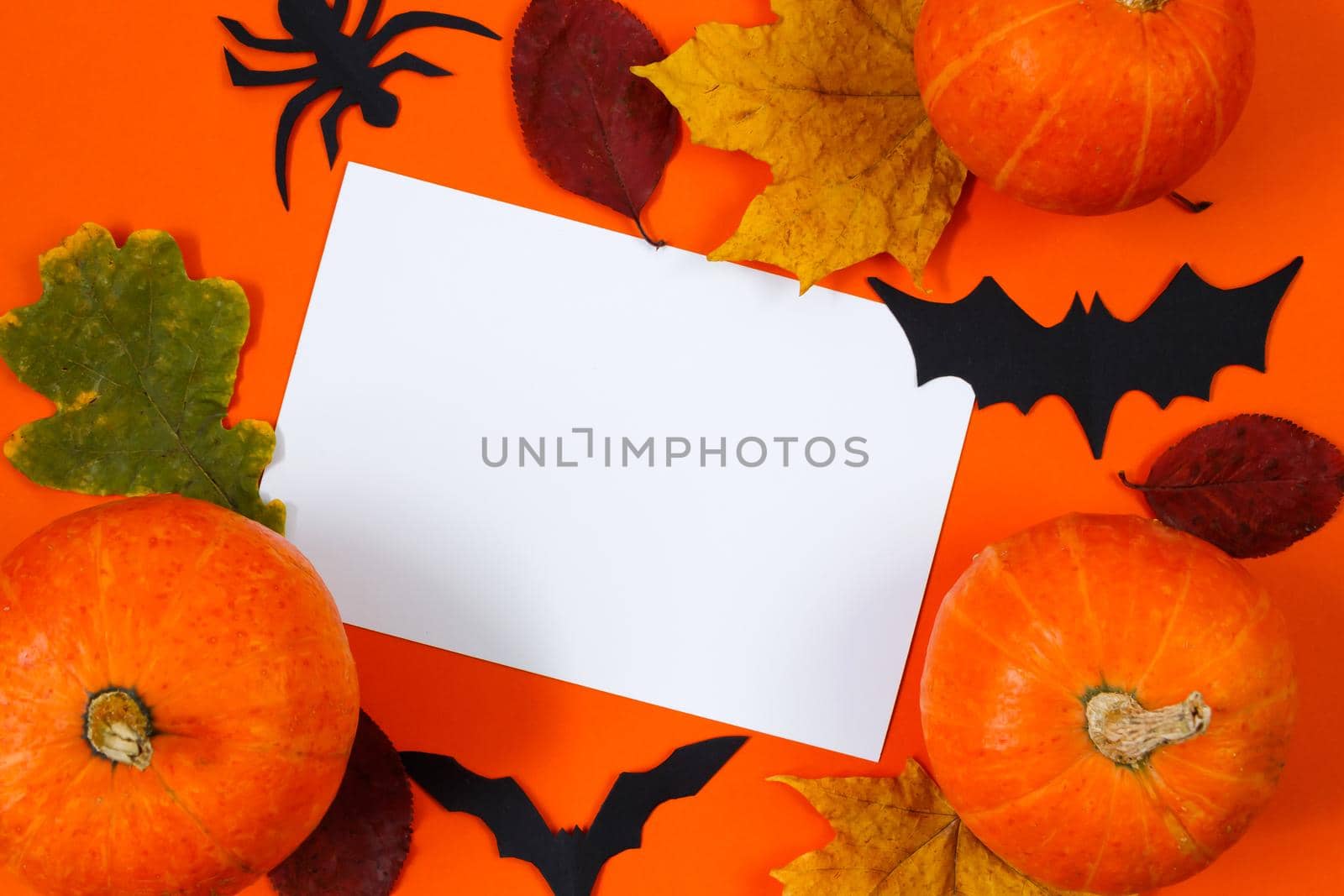 Happy Halloween. Pumpkins and autumn leaves on an orange background. Place for text.