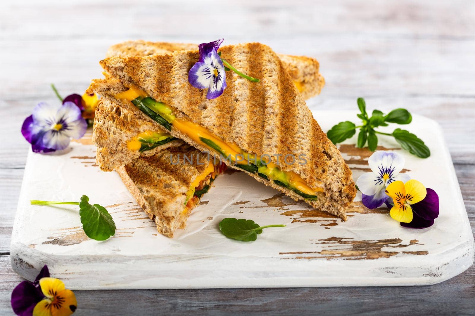 Healthy toasts with avocado, cheddar cheese and tomatoes for breakfast or lunch. Vegetarian sandwiches. Plant-based diet. Whole food concept.