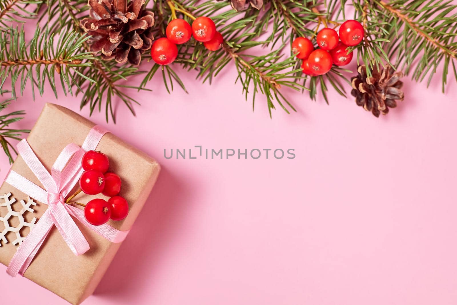 Christmas gift box on pink background with fir branches, cones and rowan berries