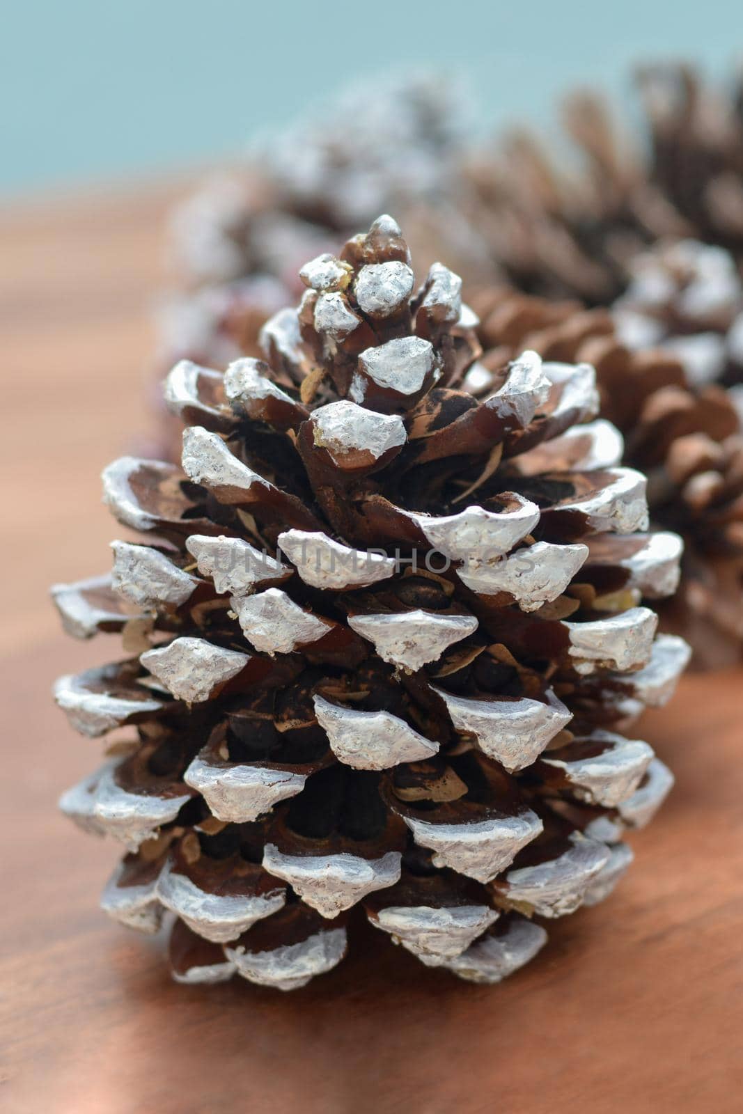 Pine cones on wooden background