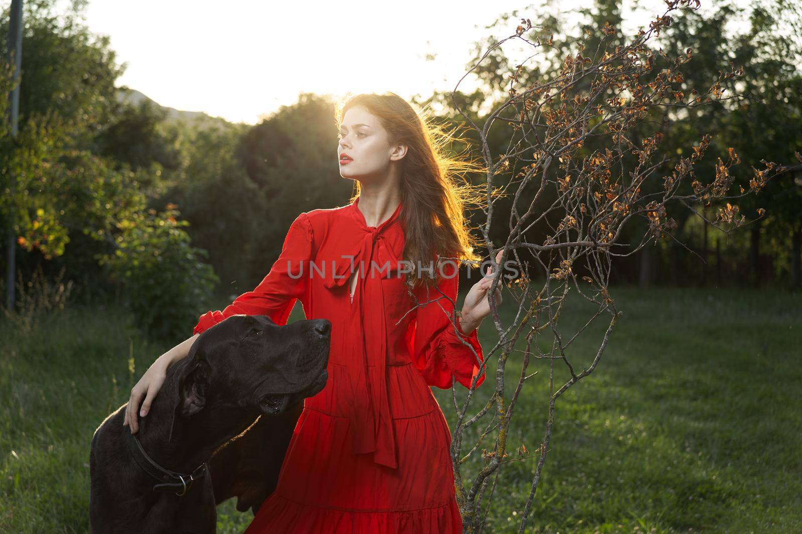 beautiful woman in a red dress outdoors with a black dog friendship. High quality photo