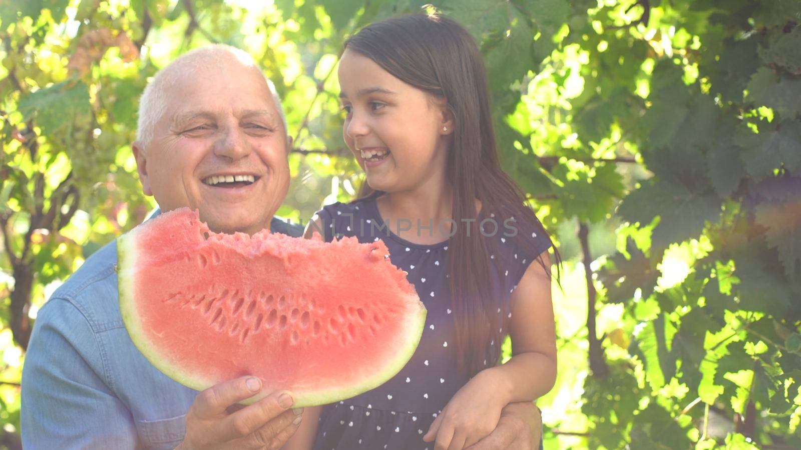 little girl and grandfather with watermelon smile and eat