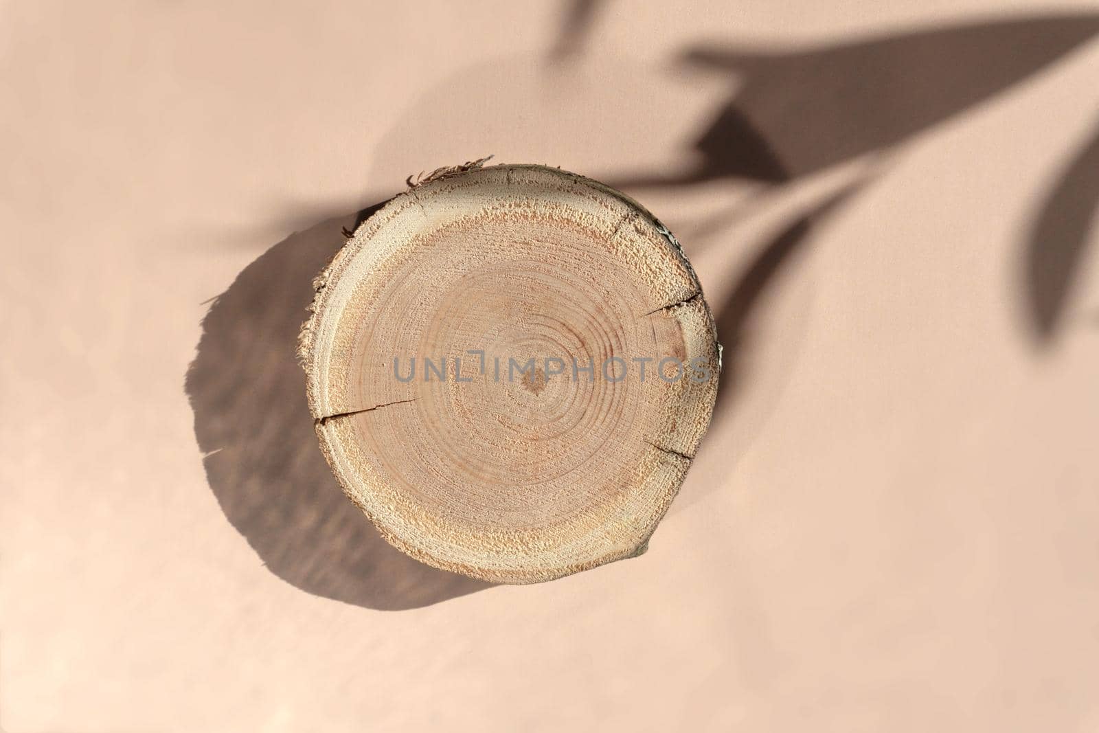 Woodcut lying on a trendy beige background with shadows of flowers. A wooden platform with shades for natural cosmetics or products presentation. Wooden tray mockup in the sunlight. Top view