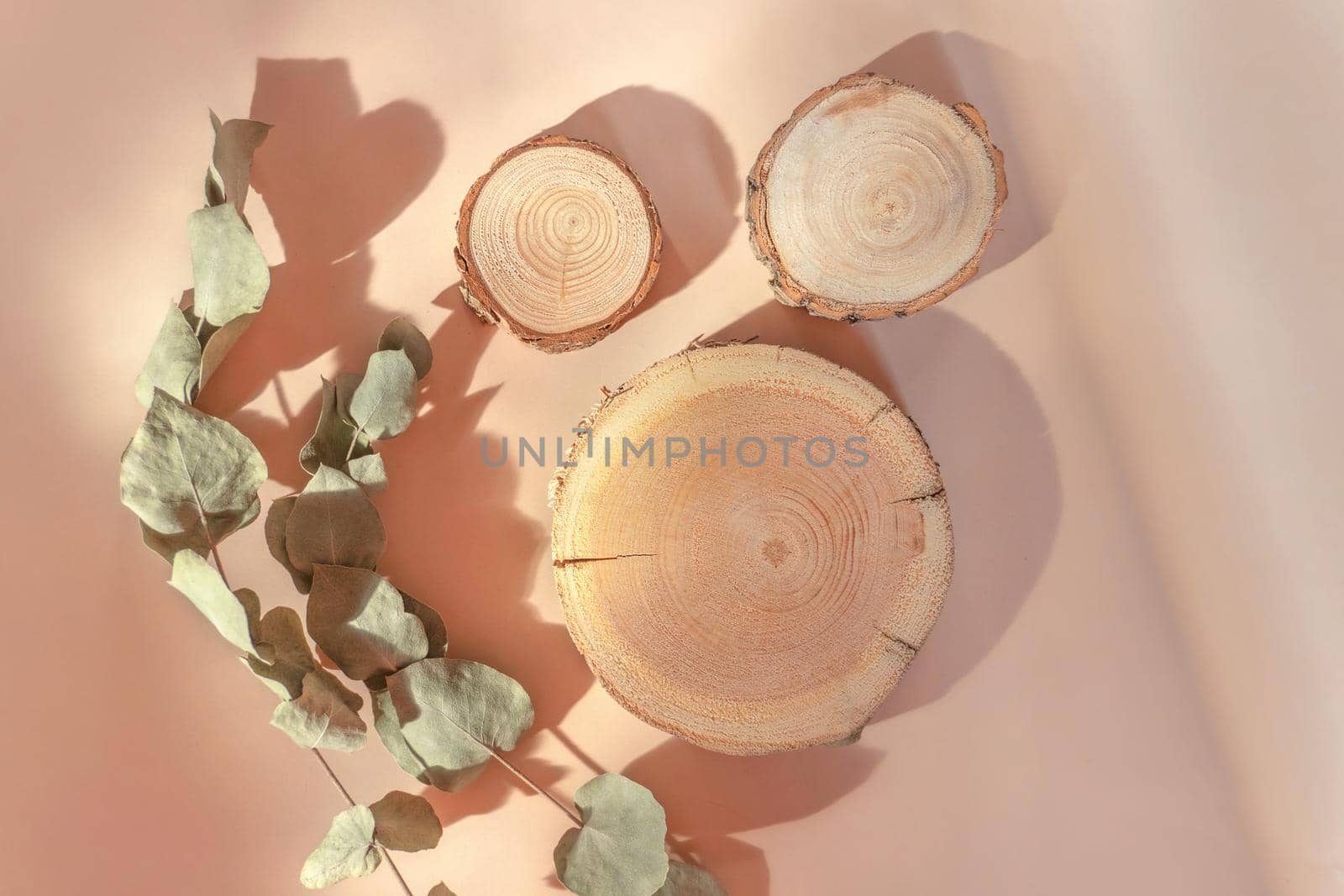 Three wooden podiums for cosmetics or products on beige background with nice shadows and dry eucalyptus. Flat lay, top view. Natural and minimalistic perfume, body or healthcare presentation concept